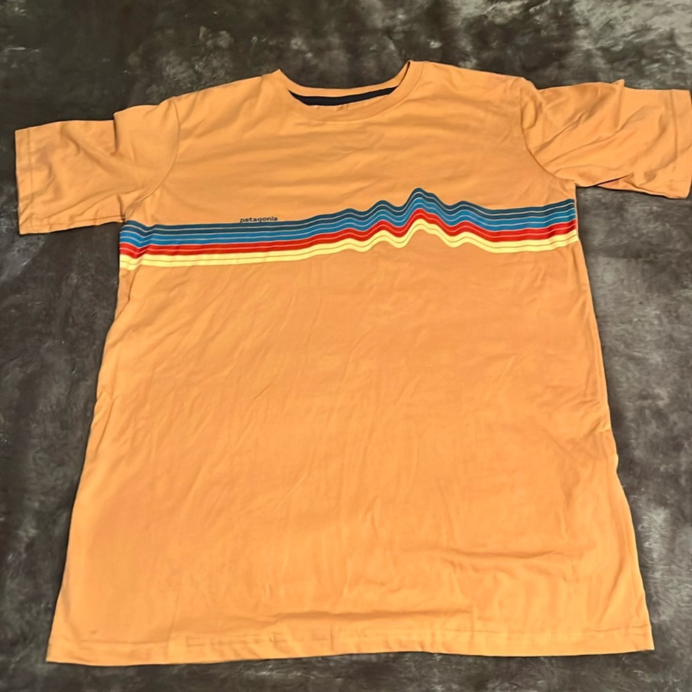 ￼ Patagonia T-shirt